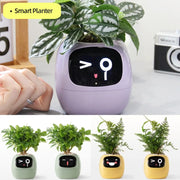 Smart Planter Endless Fun Over 49 Rich Expressions 7 Smart Sensors